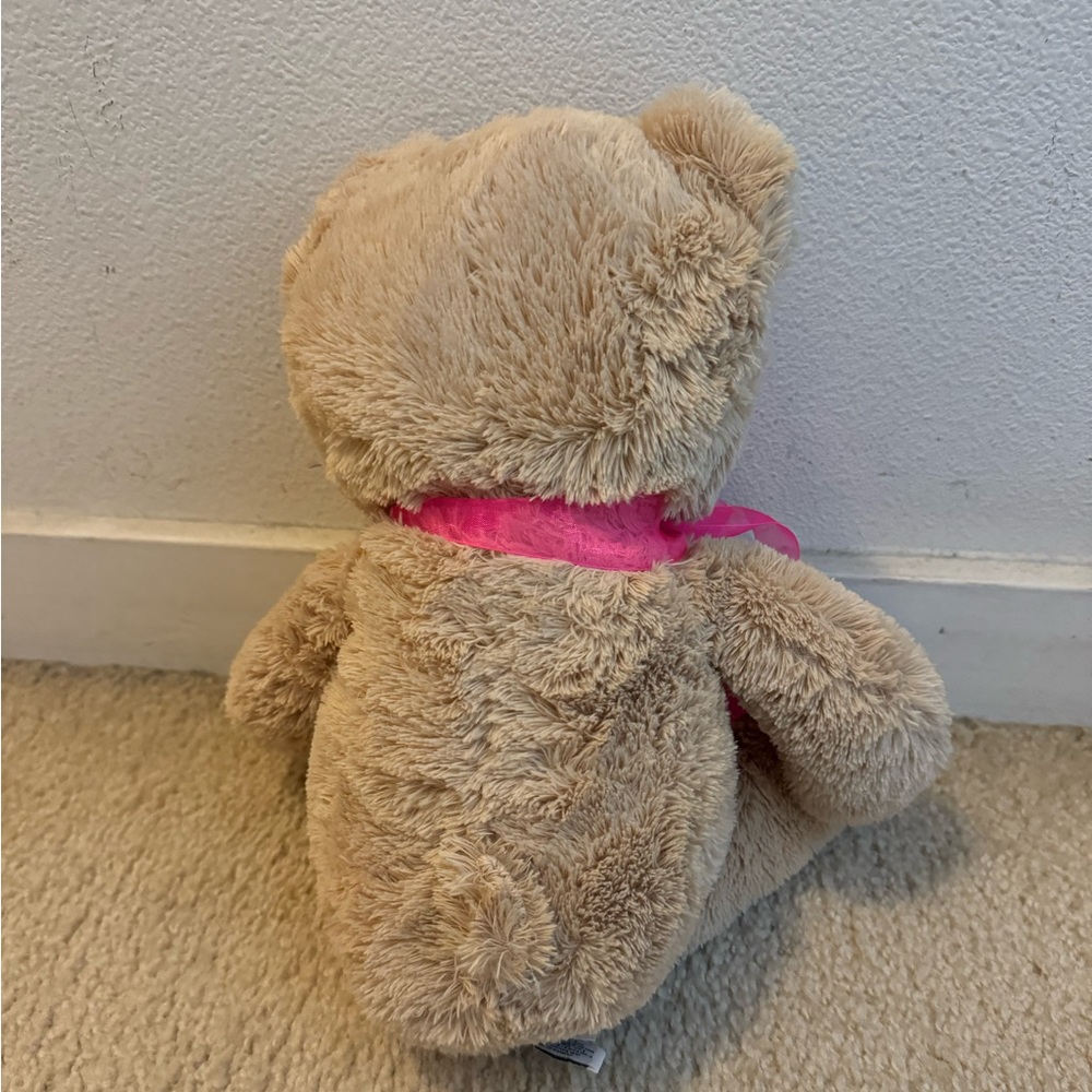 Brown bear - Picture 2 of 2